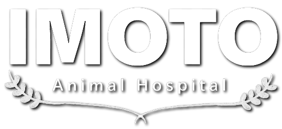 井元動物病院