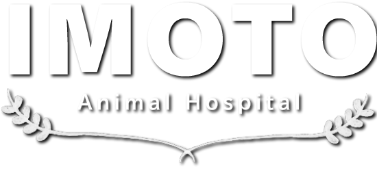 井元動物病院